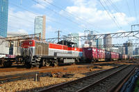 DSC_4764.jpg