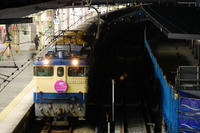 DSC_4816.jpg