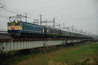 DSC_4918.jpg