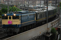 DSC_4934.jpg