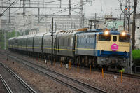 DSC_4943-1.jpg