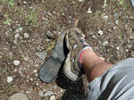 P1010203_R.jpg