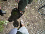 P1010205_R.jpg