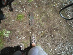 P1010206_R.jpg