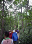 P1010240_R.jpg