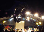 P1010394_R.jpg