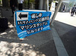 P1010990.jpg