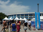 P1010992.jpg