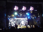 P1020116.jpg