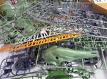 P1020562_R.jpg