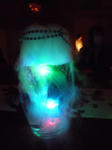 P1020665_R.jpg