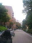 SN3N0045_R.jpg