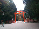 SN3N0082_R.jpg