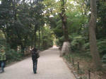 SN3N0080_R.jpg