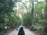 SN3N0078_R.jpg