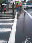 SN3N0107_R.jpg