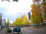 SN3N0124_R.jpg