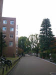 SN3N0128_R.jpg