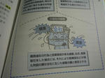 P1030499_R.jpg