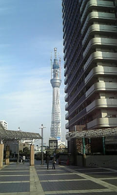 DVC00233.jpg