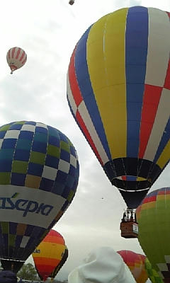 DVC00025.jpg