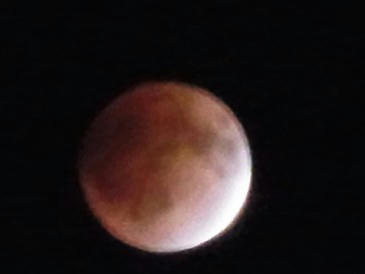 67c9884e.jpg