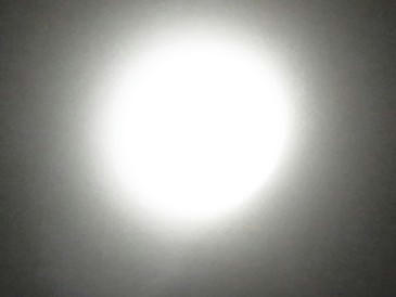 9cd5652f.jpg