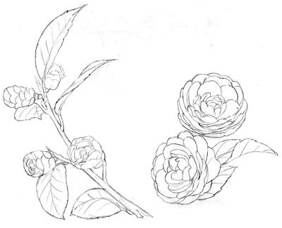 be213a95.jpg