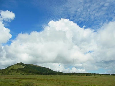 e0348a5e.jpg