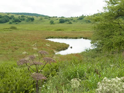 a75d9c19.jpg