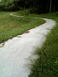 DVC00247.jpg