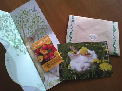 2013-04-20-131528.jpg