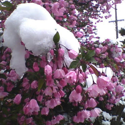 2013-04-21-100655.jpg