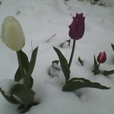 2013-04-21-100829.jpg
