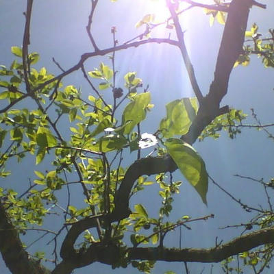 2013-05-24-121025.jpg