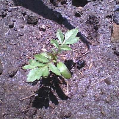 2013-06-05-102747.jpg