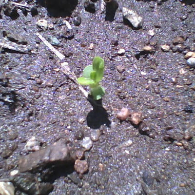 2013-06-05-102807.jpg