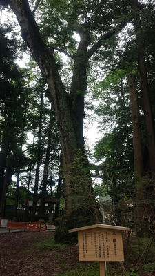 20130627_100151.jpg