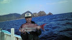 DSC00003.JPG