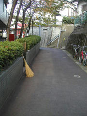 P1010043.JPG