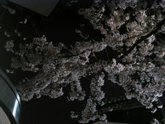 0520f503.jpg
