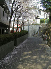9d52727f.jpg