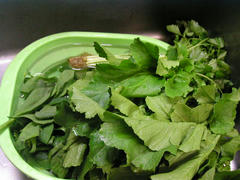 P1010029.JPG