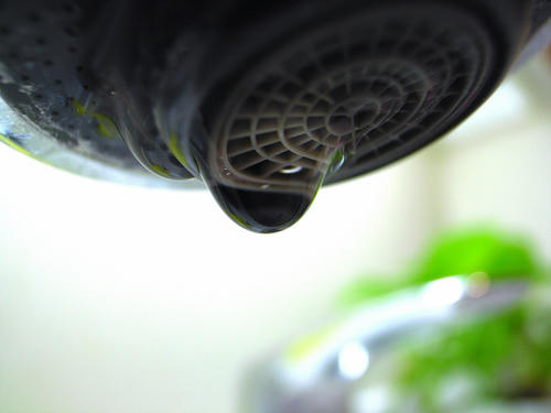 蛇口の水