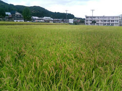 P1000245.jpg
