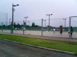 P1000393.jpg