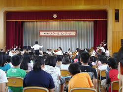DSC08334.jpg