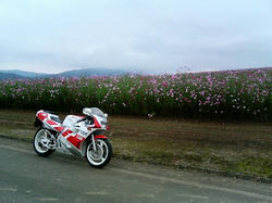 P1000535.jpg