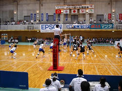 DSC09105.jpg