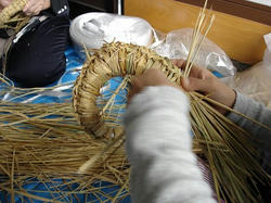 DSC00526.jpg